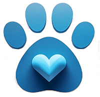 Eutanasia de su mascota en casa